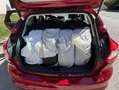 Ford Focus Focus Traveller Trend 1,6 TDCi DPF Trend Rot - thumbnail 6