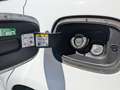 Ford Galaxy Hybrid Titanium Weiß - thumbnail 15