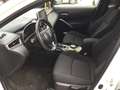 Toyota Corolla Cross 2,0 Active Drive 2WD Weiß - thumbnail 7