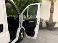 Fiat Ducato DDUCATO L2H2 2.3 MJT 120 PACK -17 990? TTC- Blanco - thumbnail 5
