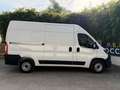 Fiat Ducato DDUCATO L2H2 2.3 MJT 120 PACK -17 990? TTC- Blanco - thumbnail 19