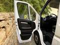 Fiat Ducato DDUCATO L2H2 2.3 MJT 120 PACK -17 990? TTC- Blanco - thumbnail 6