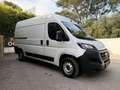 Fiat Ducato DDUCATO L2H2 2.3 MJT 120 PACK -17 990? TTC- Blanco - thumbnail 15