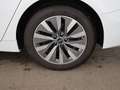 Audi A6 Avant 35 TDI Aut LED LEDER NAVI R-CAM SITZHZG Weiß - thumbnail 28