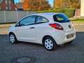 Ford Ka/Ka+ Concept*wenig km*Klima*Allwetterreifen Weiß - thumbnail 6