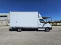 Iveco Daily T43/35 311 CDI Cabinato Executive cassa 8 bancali Alb - thumbnail 4
