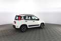 Fiat Panda 1.0 FireFly Hybrid City Life KIT 5 POSTI,RADIO BLU Weiß - thumbnail 3