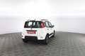Fiat Panda 1.0 FireFly Hybrid City Life KIT 5 POSTI,RADIO BLU Weiß - thumbnail 4