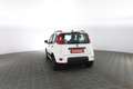 Fiat Panda 1.0 FireFly Hybrid City Life KIT 5 POSTI,RADIO BLU Weiß - thumbnail 5