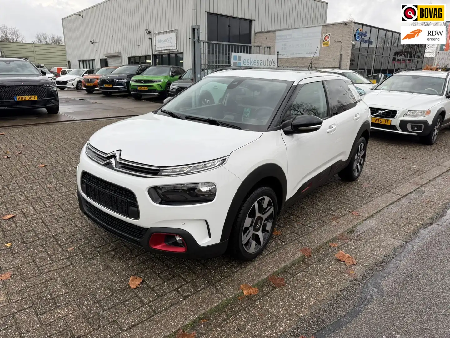 Citroen C4 Cactus 1.2 PureTech Feel, Panodak, Navi, 12 mnd Garantie Blanc - 1