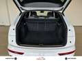 Audi Q5 40 TDI 204 CV quattro S tronic line plus Blanc - thumbnail 14