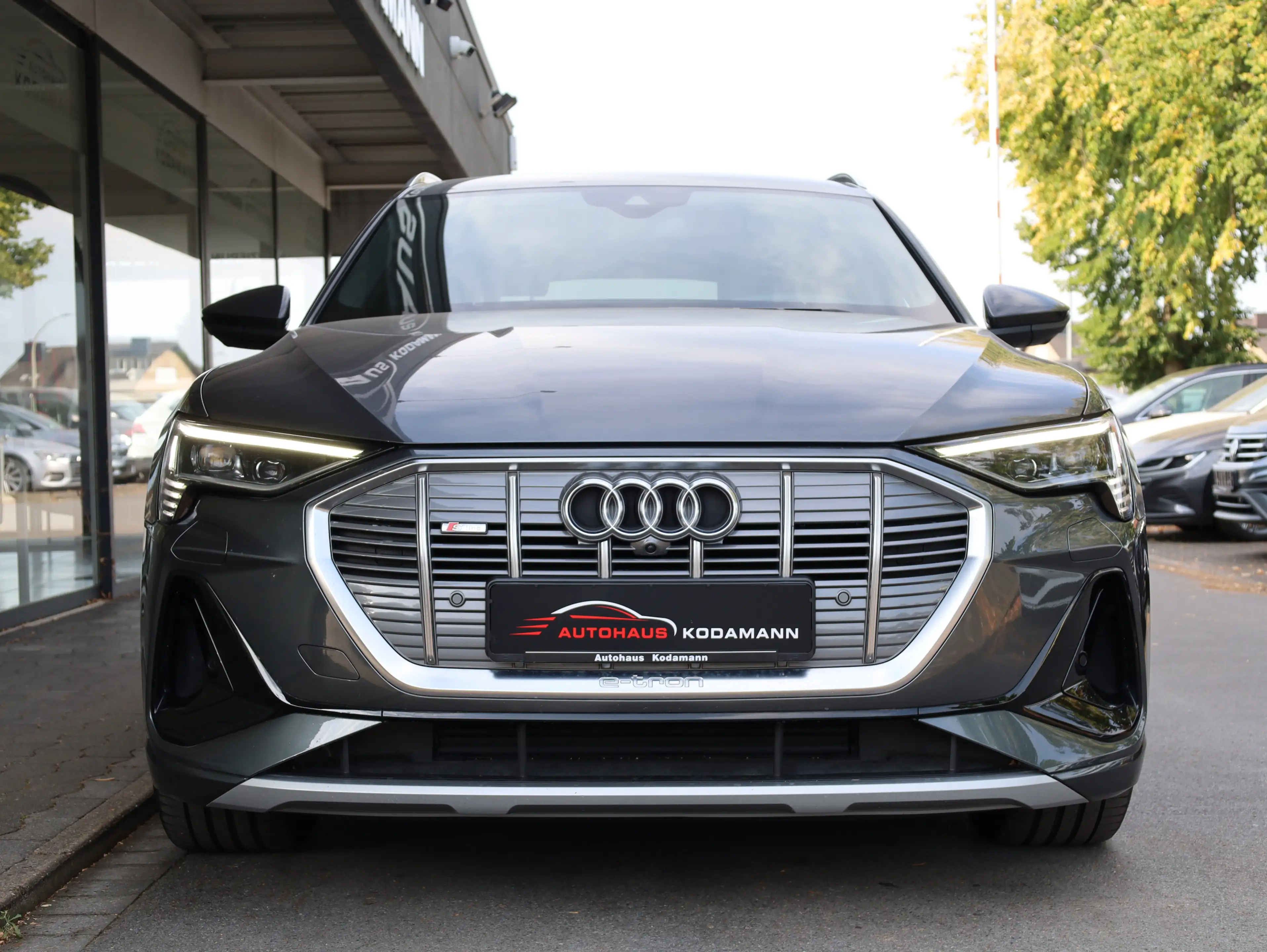 Audi e-tron 55 quattro S-Line*Memory*Luft*AHK*21Alu — photo 6