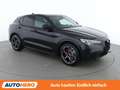 Alfa Romeo Stelvio 2.0 Turbo Veloce Q4 Schwarz - thumbnail 8