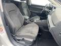 Volkswagen Golf VIII e-Hybrid 1.4 TSI DSG Style AHK*STHZG*LED*N... Weiß - thumbnail 10