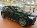 Alfa Romeo Stelvio 2.2 t Business rwd 160cv auto Verde - thumbnail 8