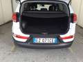 Kia Sportage 1.6 GDI Cool *BENZINA EURO 6*TETTO ELETTRICO* Blanc - thumbnail 14