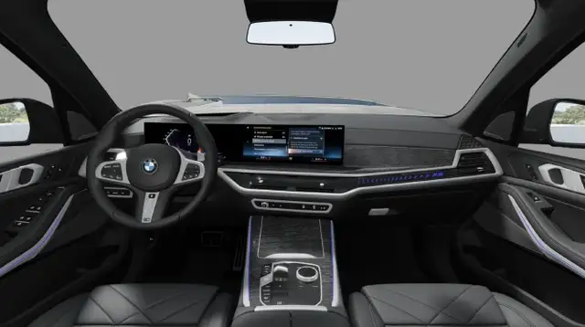 BMW X5 view 7