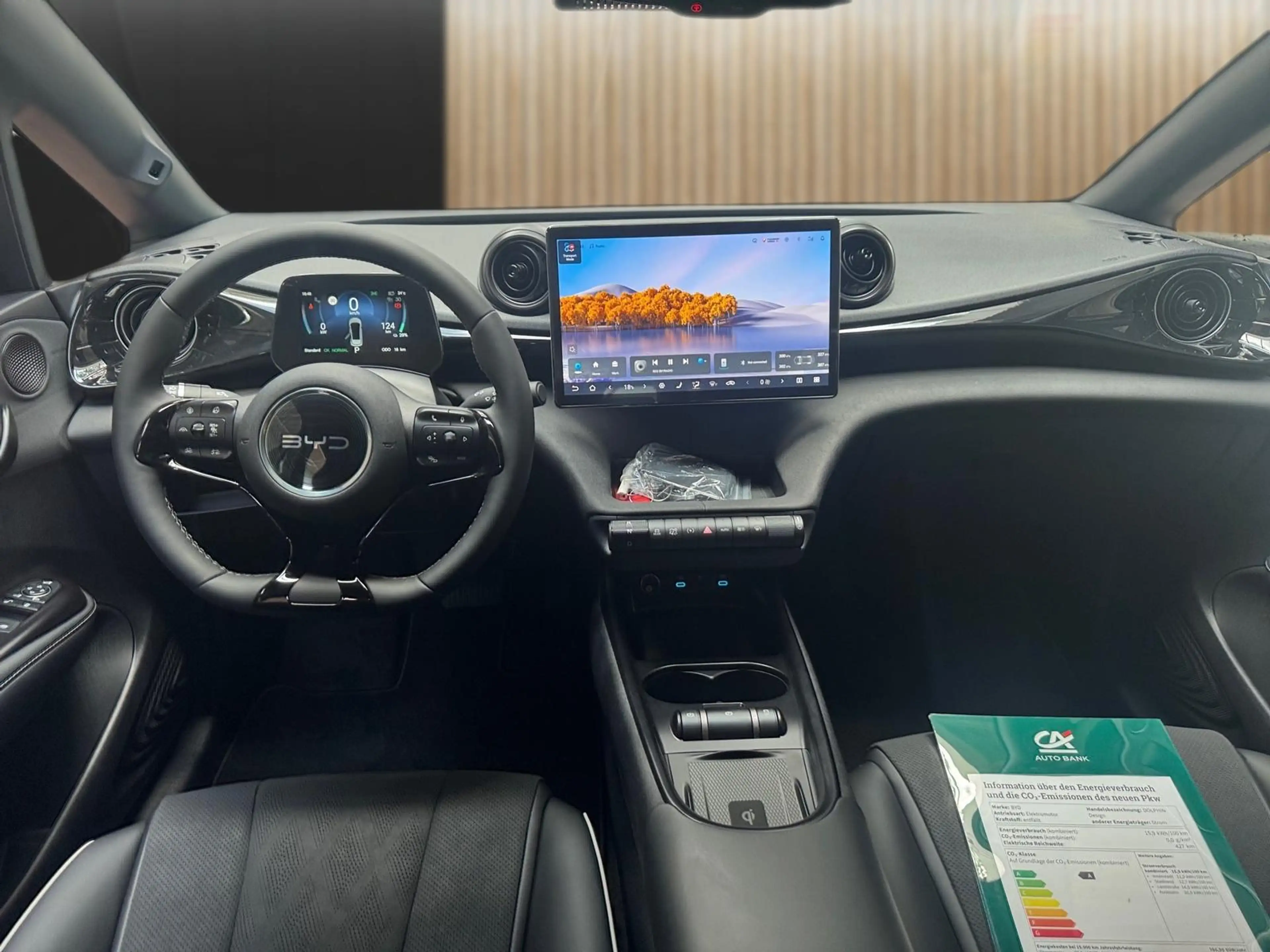 BYD Dolphin 150 kW Design — photo 11