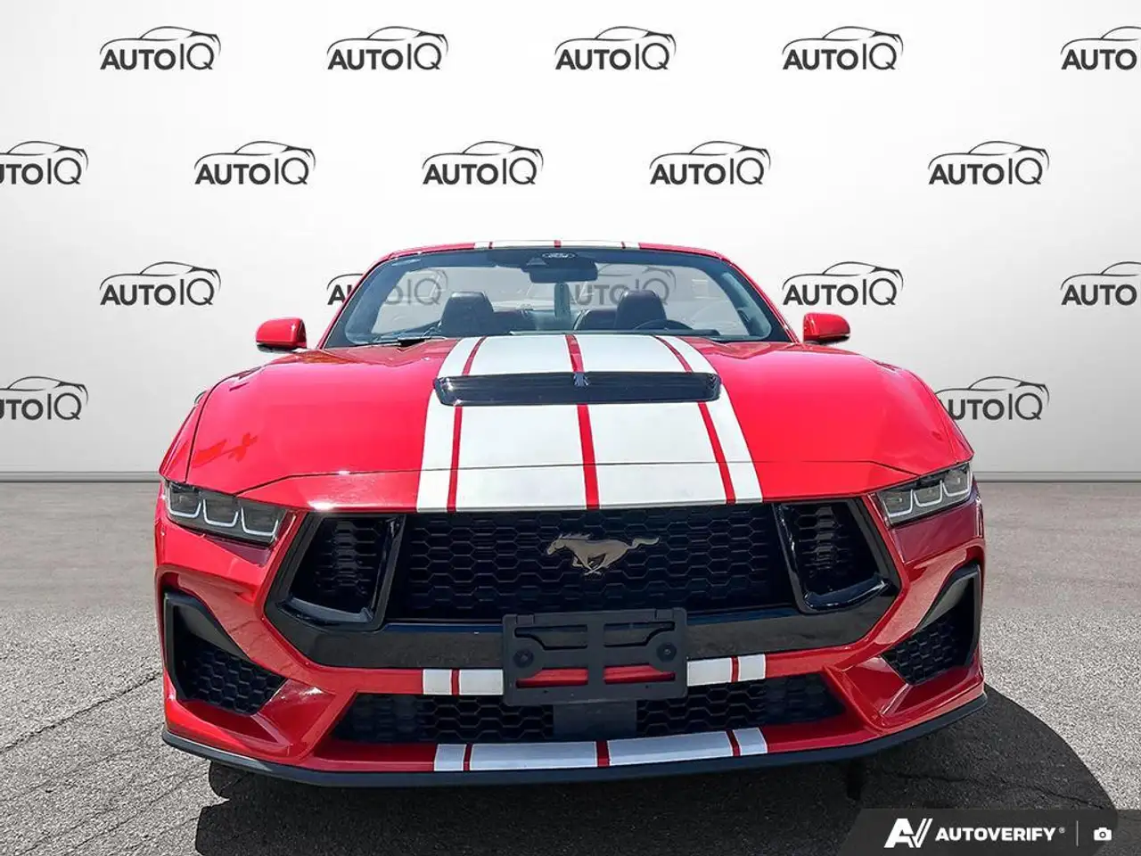 Ford Mustang fotografie Ford Mustang
