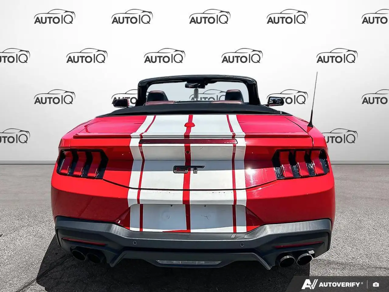 Ford Mustang fotografie Ford Mustang