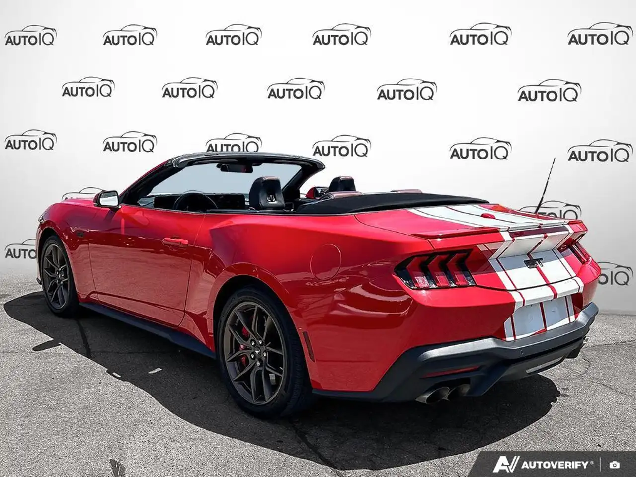 Ford Mustang fotografie Ford Mustang