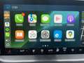 Ford Focus Titanium X Navi CarPlay LED RFK SHZ LHZ Weiß - thumbnail 17