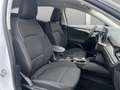 Ford Focus Titanium X Navi CarPlay LED RFK SHZ LHZ Weiß - thumbnail 10