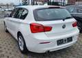 BMW 116 d Advantage-LED.SCHEINWERFER-NAVI-SITZHZ-EU6- White - thumbnail 6