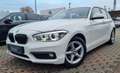 BMW 116 d Advantage-LED.SCHEINWERFER-NAVI-SITZHZ-EU6- White - thumbnail 1