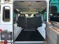 Land Rover Defender 110 Rough Station Wagon/KLIMA/SEILWINDE Blanc - thumbnail 5