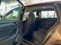 Skoda Rapid/Spaceback Cool Edition Marrón - thumbnail 10