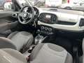 Fiat 500L 1.6 mjt Business 120cv my20 - thumbnail 5