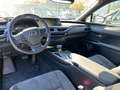 Lexus UX 250h 250h 2.0 Executive 2wd cvt my20 Grau - thumbnail 9