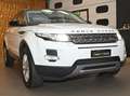 Land Rover Range Rover Evoque 2.2 SD4 5P.PURE TECH PACK AUTO NAVI LED CAM19"FULL Bianco - thumbnail 2