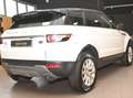 Land Rover Range Rover Evoque 2.2 SD4 5P.PURE TECH PACK AUTO NAVI LED CAM19"FULL Blanco - thumbnail 3
