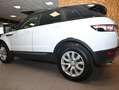 Land Rover Range Rover Evoque 2.2 SD4 5P.PURE TECH PACK AUTO NAVI LED CAM19"FULL Wit - thumbnail 8