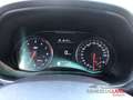 Hyundai i30 N Performance Pano Navi Performance Info System LM Rot - thumbnail 13
