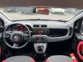 Fiat Panda Panda 1.2 Easy NEOPATENTATI Zilver - thumbnail 9