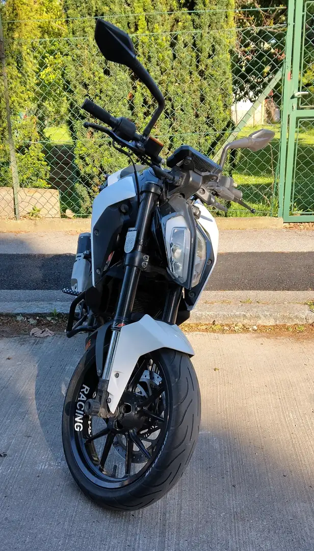 KTM 125 Duke Alb - 2