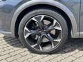 CUPRA Formentor VZ 2.0 TSI DSG 360° eHECK MATRIX PANO Grau - thumbnail 10