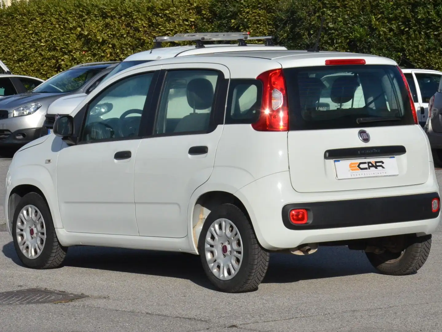 Fiat Panda Panda 1.2 Easy s Weiß - 2