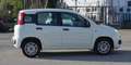 Fiat Panda Panda 1.2 Easy s Weiß - thumbnail 19