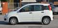 Fiat Panda Panda 1.2 Easy s Weiß - thumbnail 17