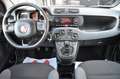 Fiat Panda Panda 1.2 Easy s Weiß - thumbnail 10
