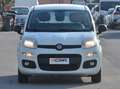 Fiat Panda Panda 1.2 Easy s Weiß - thumbnail 5