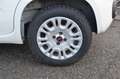 Fiat Panda Panda 1.2 Easy s Weiß - thumbnail 28