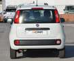 Fiat Panda Panda 1.2 Easy s Weiß - thumbnail 18