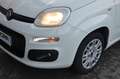 Fiat Panda Panda 1.2 Easy s Weiß - thumbnail 21