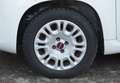 Fiat Panda Panda 1.2 Easy s Weiß - thumbnail 6