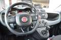 Fiat Panda Panda 1.2 Easy s Weiß - thumbnail 35